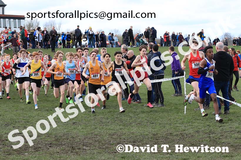 Junior Boys 2024 English Schools Cross Country Champs., Pontefract, March 16th.  Photo: David T. Hewitson/Sports for All Pics